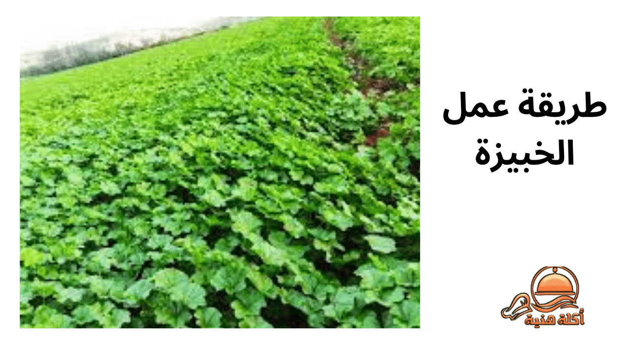 طريقة عمل الخبيزة