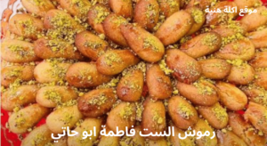 رموش الست فاطمة ابو حاتي