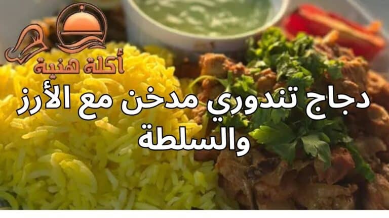 دجاج تندوري مدخن مع الأرز والسلطة