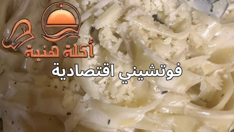 فوتشيني اقتصادية